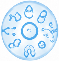 Hyaluronic Acid