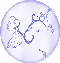 Niacinamide