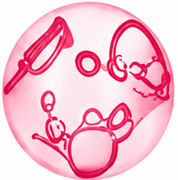 Collagen