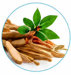 Ashwagandha