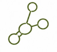 Amino Acids
